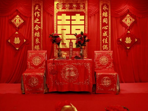 兔子和兔子相容吗？娶两只兔子好吗