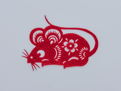 2021年翻身的生肖在2021年开始翻身