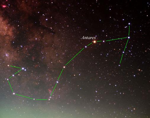 天蝎座配对指数