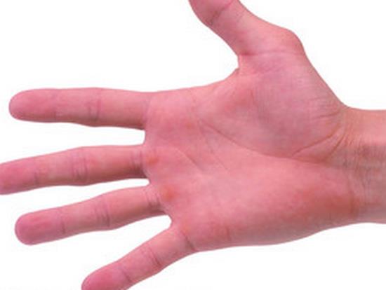 教你看各种手型图