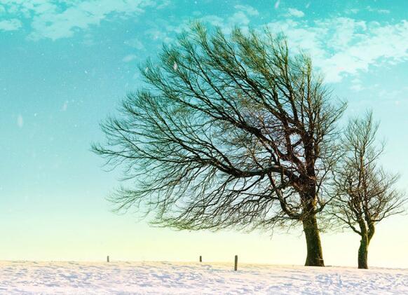 女生高端大气英文网名