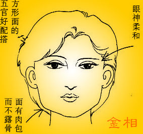 王宓女性的面部特征