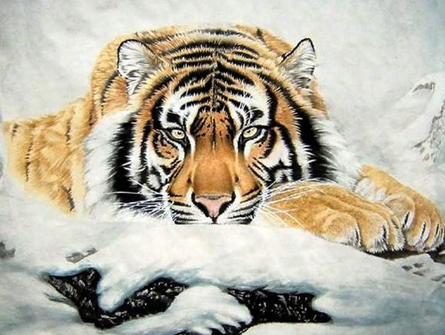 李居明2015年的羊年是虎年