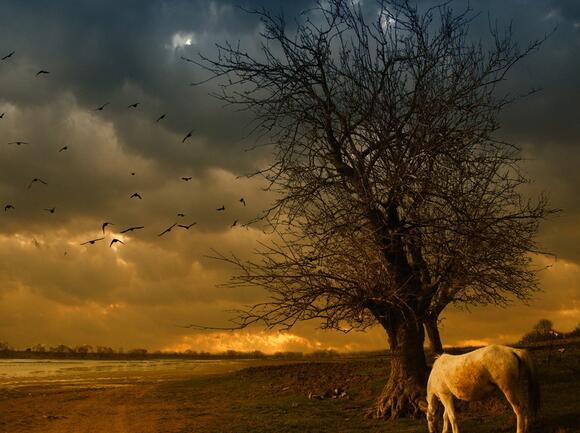 女生悲伤的网名短个性