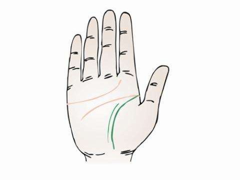 寿命短的人寿命短吗？