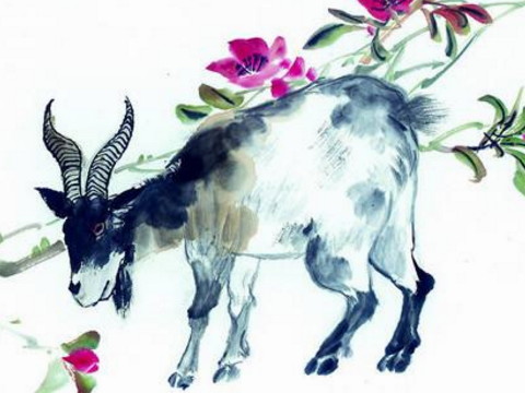 属于羊的女性性格和爱情观