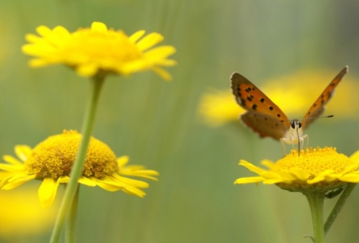 姓名与疾病的关系