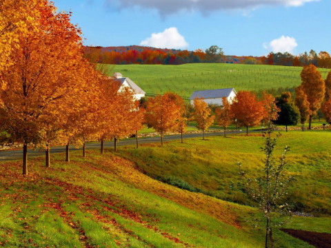女人几月出生是富贵命 一生富贵无忧