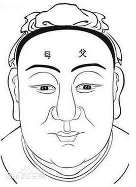 父母宫飞星详解