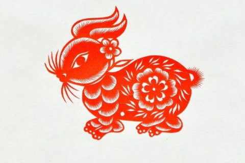 2020年哪些属最好