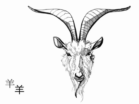 农历的羊是哪一天出生的?好运