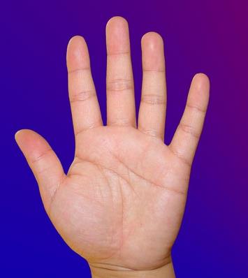 你如何看待自己的情感线