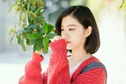 放一个鱼缸是什么感觉