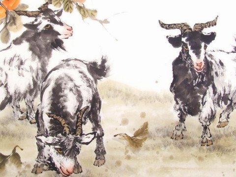 1991年，绵羊一生中有过两次婚姻吗