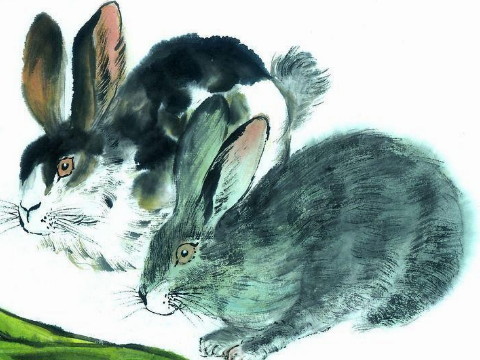 兔子的运势是哪一年？这是兔子运气最好的一年