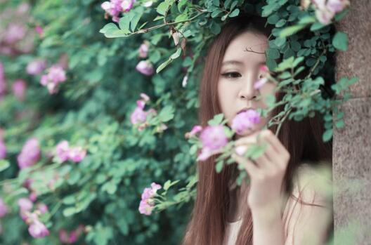 阳历11月1日是什么星座