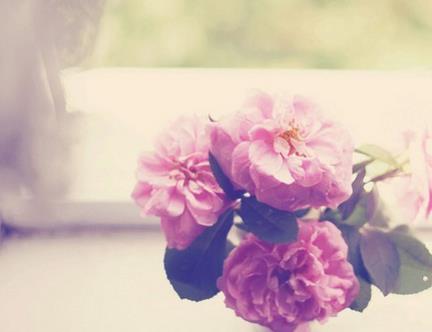 成功爱情的风水妙招