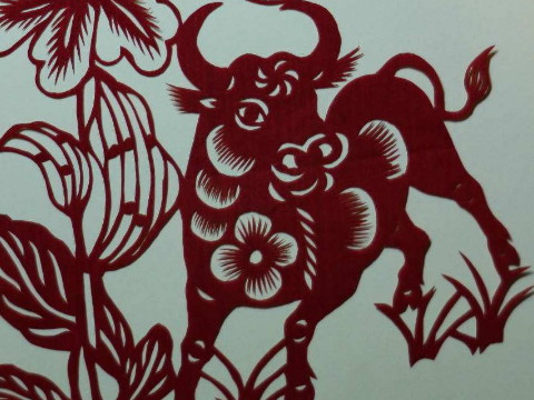 1985年,它是一头牛。大运会什么时候开始的?