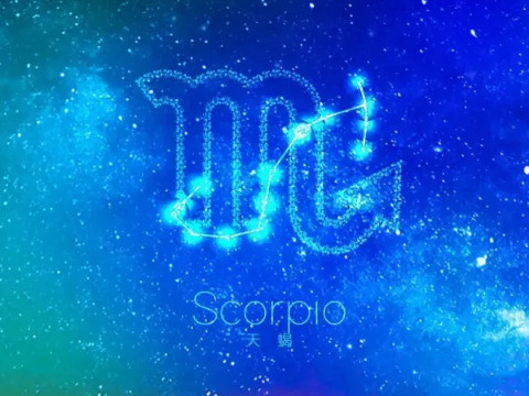 天蝎男喜欢什么样的女生，有什么特点