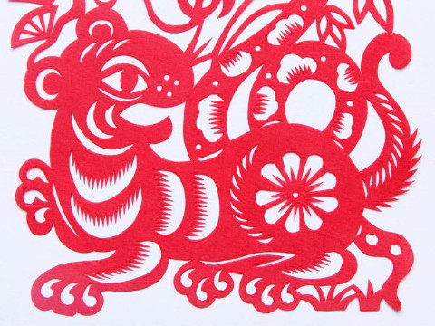 老虎是什么时候出生的