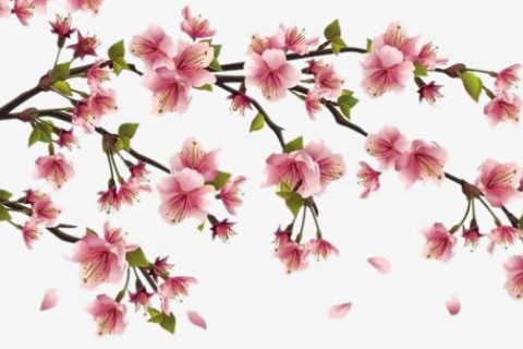 2020年烂桃花如何化解