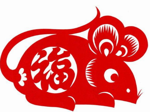 1996年老鼠的生活是怎样的