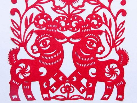 谁是羊生命中高贵的一个属