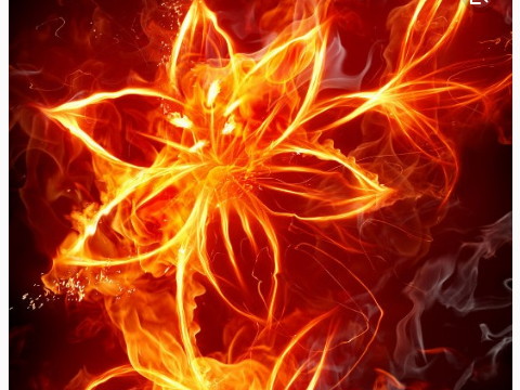 五行中火多的人的特征分析