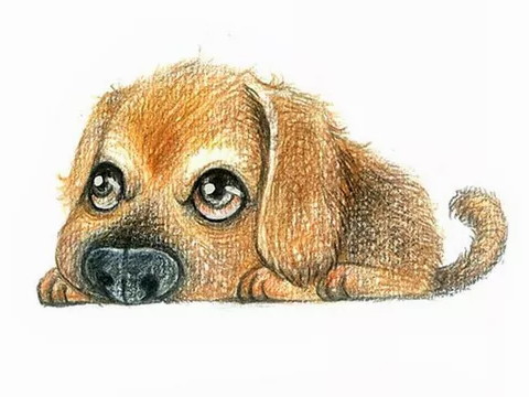 一个小时候出生的男孩的命运是怎样的