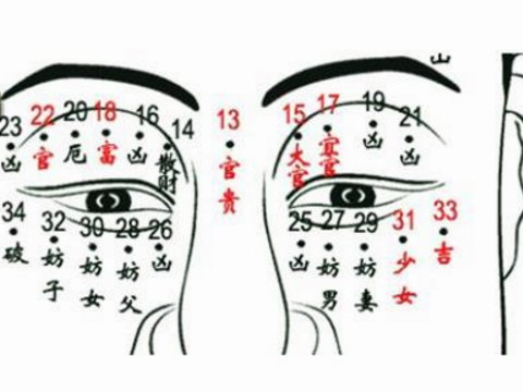看痣相算命图解 一定能当官的痣
