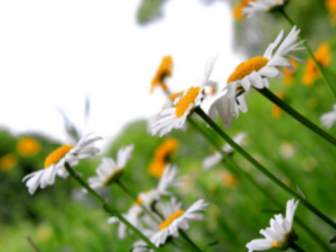 2019年1月6日命理分析