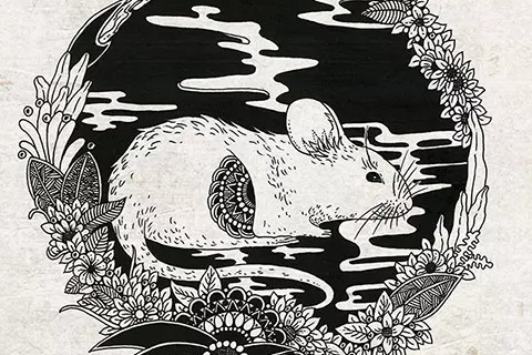 2020年最糟糕的迹象