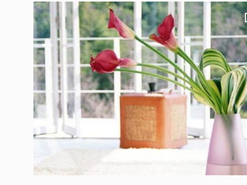 婚姻风水怎么样