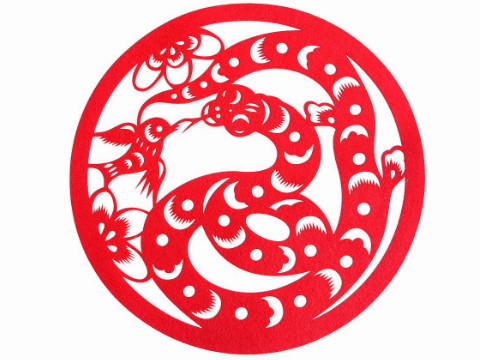 蛇的最佳搭配是什么