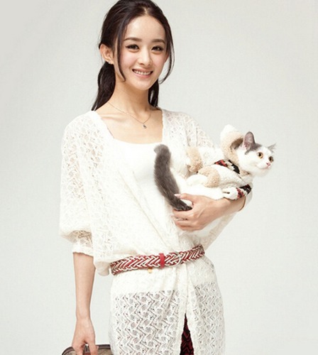 1971年属猪的人什么命