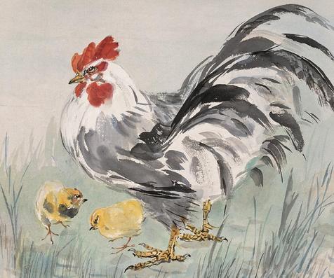 谁是鸡的最佳配偶