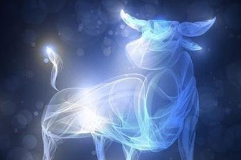 它是一只狗金牛座2020年的财富