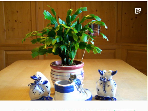 在家居风水中，财务状况最好的地方是哪里