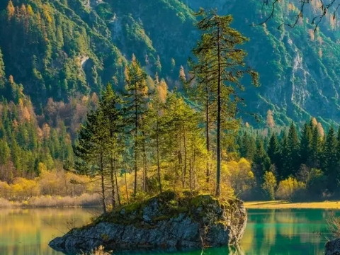 穆明和金明会怎么结婚？金明和穆明会结婚好吗