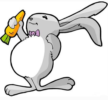 公兔的最佳搭配是什么