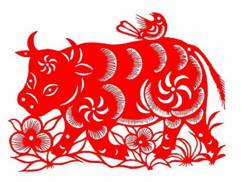 2021年容易离婚的属