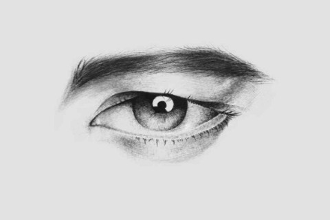 好看的眉毛长什么样