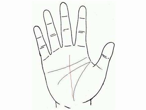 男人的无名指比食指长是什么意思