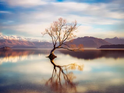 山火配水婚吗？