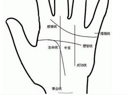 教你看女人的职业线