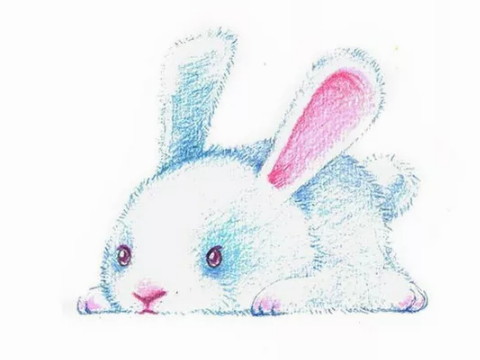 一个出生时是兔子的男孩的命运是什么