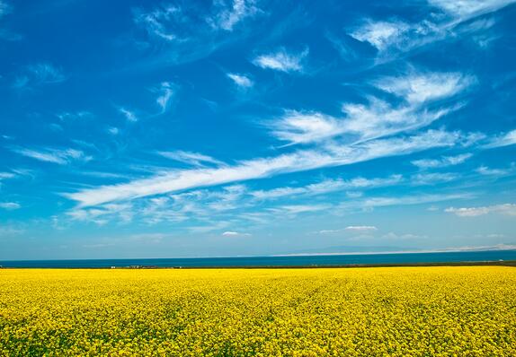 好男孩的英文网名，带翻译