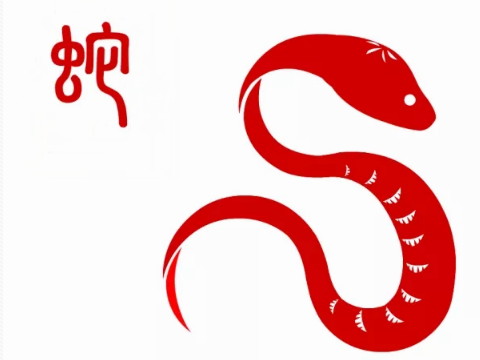 老鼠迎接蛇年是好事吗