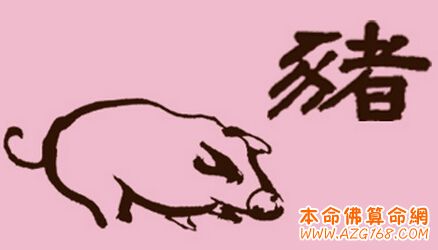 ​属猪的几月出生最好