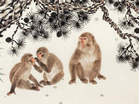 当一个猴子女孩出生时最好。